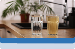 drinking water hygiene